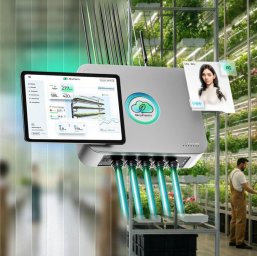 Новые экосистемы будущего: как Skyfarm меняет сельское хозяйство в России Новые экосистемы будущего: как Skyfarm меняет сельское хозяйство в России